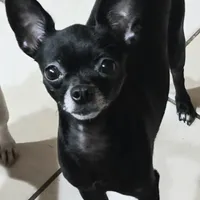 processed/7dd2ed9d-faf0-4dd6-abe2-16bb765eb7f0/facility/7de6f03f-fc68-4952-bdc7-96a5aaac8661