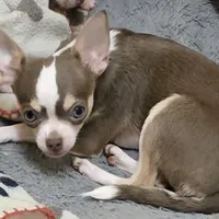 processed/7dd2ed9d-faf0-4dd6-abe2-16bb765eb7f0/facility/a69c2f35-1b03-42ff-8283-2c59cd30270c