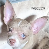 processed/7dd2ed9d-faf0-4dd6-abe2-16bb765eb7f0/facility/d0c30a66-f658-4b04-9cca-600fc12090f8