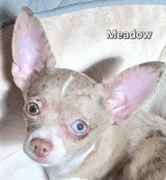 processed/7dd2ed9d-faf0-4dd6-abe2-16bb765eb7f0/facility/d0c30a66-f658-4b04-9cca-600fc12090f8