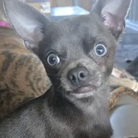 processed/7dd2ed9d-faf0-4dd6-abe2-16bb765eb7f0/facility/fcdee74c-202e-491c-a7be-477c24990a9b