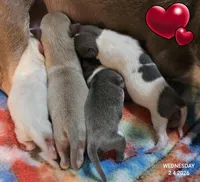 processed/7dd2ed9d-faf0-4dd6-abe2-16bb765eb7f0/listing/046f9480-130a-4b49-a33e-75be57be8780/1b12a0a8-ba39-42d0-b5d1-679e6207fac2