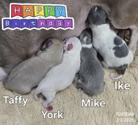 processed/7dd2ed9d-faf0-4dd6-abe2-16bb765eb7f0/listing/046f9480-130a-4b49-a33e-75be57be8780/83f7ec10-d87b-4a07-8727-c961b35a4c4f