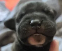 processed/7dd2ed9d-faf0-4dd6-abe2-16bb765eb7f0/listing/41720eb0-d3c5-4d07-8e1a-e323124a91b4/860163b2-ee3d-433e-a68d-2944b24e0fa3