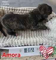 processed/7dd2ed9d-faf0-4dd6-abe2-16bb765eb7f0/listing/41720eb0-d3c5-4d07-8e1a-e323124a91b4/df700da4-51e0-4a6a-a477-2d047f952cd2