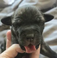 processed/7dd2ed9d-faf0-4dd6-abe2-16bb765eb7f0/listing/41720eb0-d3c5-4d07-8e1a-e323124a91b4/f2d4aee7-5efa-408e-ad2f-b0f710512130