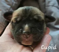 processed/7dd2ed9d-faf0-4dd6-abe2-16bb765eb7f0/listing/71f30597-9b02-495e-96f8-492094871281/b29c800f-e00e-46f7-9d96-f3eea15e1437