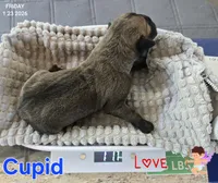 processed/7dd2ed9d-faf0-4dd6-abe2-16bb765eb7f0/listing/71f30597-9b02-495e-96f8-492094871281/e4f944f3-26b0-41bd-9b6d-a3568c2424c4