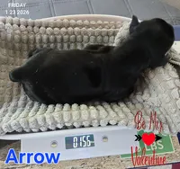 processed/7dd2ed9d-faf0-4dd6-abe2-16bb765eb7f0/listing/7500303a-f917-4d00-9b61-a1709fbdb603/7244ea96-a4bc-4604-a7d1-98d38887b59b