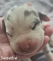 processed/7dd2ed9d-faf0-4dd6-abe2-16bb765eb7f0/listing/90da2665-e071-4ba0-bbea-b95a182772e0/15479b6a-36d9-43e7-9965-738ca57faa56