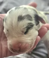 processed/7dd2ed9d-faf0-4dd6-abe2-16bb765eb7f0/listing/90da2665-e071-4ba0-bbea-b95a182772e0/7a85f99b-c26f-40e1-ae16-78f3d60a1970