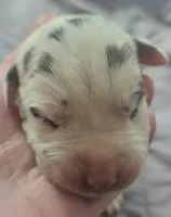 processed/7dd2ed9d-faf0-4dd6-abe2-16bb765eb7f0/listing/90da2665-e071-4ba0-bbea-b95a182772e0/9903b727-146a-44a1-a626-8ed697ba195c