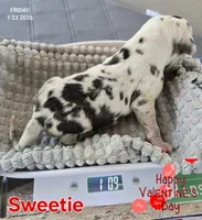 processed/7dd2ed9d-faf0-4dd6-abe2-16bb765eb7f0/listing/90da2665-e071-4ba0-bbea-b95a182772e0/a8344b59-a343-45bd-900f-3d3968bb8681