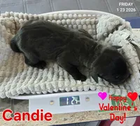 processed/7dd2ed9d-faf0-4dd6-abe2-16bb765eb7f0/listing/9807f93c-650a-485c-8e98-f634da0744db/362ba5ac-c239-40d1-8cb7-68005918f1b6