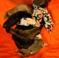 processed/7dd2ed9d-faf0-4dd6-abe2-16bb765eb7f0/listing/9807f93c-650a-485c-8e98-f634da0744db/bd7aea23-4b33-4b7a-9177-13f96822feb9