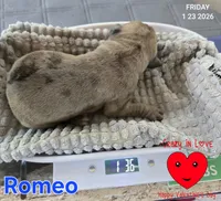 processed/7dd2ed9d-faf0-4dd6-abe2-16bb765eb7f0/listing/a1550864-12cb-4b40-9d6b-d4581053ea19/364b81aa-29fc-41ab-abeb-99e105ea44cf