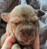 processed/7dd2ed9d-faf0-4dd6-abe2-16bb765eb7f0/listing/a1550864-12cb-4b40-9d6b-d4581053ea19/3d52e169-764c-414b-a461-0718abad17df