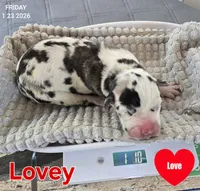 processed/7dd2ed9d-faf0-4dd6-abe2-16bb765eb7f0/listing/e23a9c9e-5579-463a-a39c-94b9b8243710/6178cba9-7c2b-4ac1-b883-a397e620d030