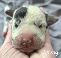 processed/7dd2ed9d-faf0-4dd6-abe2-16bb765eb7f0/listing/e23a9c9e-5579-463a-a39c-94b9b8243710/70fdd41f-e6e1-441e-a769-297afb6275a6