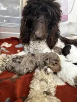 processed/7dd7304c-f2f4-4de6-b14a-94b771b9296b/facility/40e76811-9bed-4a2e-8a80-bbff744d5326