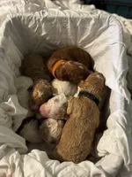 processed/7dd7304c-f2f4-4de6-b14a-94b771b9296b/facility/61b1554f-2f7e-4d70-a465-39c559390569