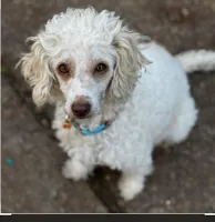 processed/7dd7304c-f2f4-4de6-b14a-94b771b9296b/facility/cc395810-942d-416c-b188-fd544d32c5ad