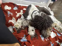 processed/7dd7304c-f2f4-4de6-b14a-94b771b9296b/facility/f118ded6-9897-4e5d-a817-379c9dd07a65