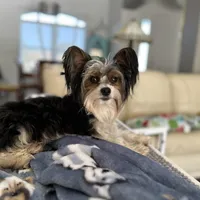 processed/7dd9f5b1-2700-403c-ab15-1dc39e4a7979/facility/04030b85-c19f-4339-afbb-5887200f1e8d