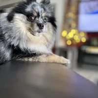 processed/7dd9f5b1-2700-403c-ab15-1dc39e4a7979/facility/2a0360c8-1081-466e-bacc-f5952f28829d