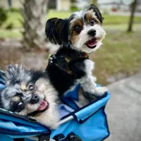 processed/7dd9f5b1-2700-403c-ab15-1dc39e4a7979/facility/ac71794e-4138-495b-8f44-8c06772bc5db