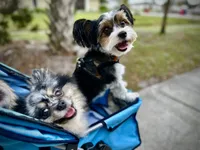 processed/7dd9f5b1-2700-403c-ab15-1dc39e4a7979/facility/ac71794e-4138-495b-8f44-8c06772bc5db