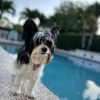 processed/7dd9f5b1-2700-403c-ab15-1dc39e4a7979/facility/c785d3d0-6465-46bf-b672-251bbd2954d3