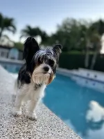 processed/7dd9f5b1-2700-403c-ab15-1dc39e4a7979/facility/c785d3d0-6465-46bf-b672-251bbd2954d3