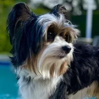 processed/7dd9f5b1-2700-403c-ab15-1dc39e4a7979/facility/d2717130-27a2-43d6-8fb6-5becec301c9e