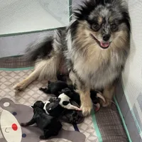 processed/7dd9f5b1-2700-403c-ab15-1dc39e4a7979/facility/f692aa2f-a0da-4c39-b224-98a608f378a7