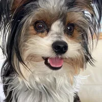 processed/7dd9f5b1-2700-403c-ab15-1dc39e4a7979/facility/fe1812c7-4d9f-4469-8145-fe4136a3129f