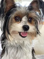 processed/7dd9f5b1-2700-403c-ab15-1dc39e4a7979/facility/fe1812c7-4d9f-4469-8145-fe4136a3129f