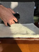 6, a male Yorkshire Terrier for sale in Port Saint Lucie, FL – Photo 6 of 10