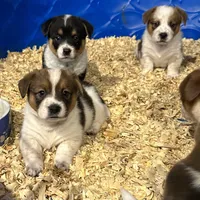 processed/7ddff457-020f-455f-8052-200cfa8c2a5d/facility/3fc57be4-2533-4996-bd7e-c93666706c36