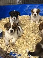 processed/7ddff457-020f-455f-8052-200cfa8c2a5d/facility/3fc57be4-2533-4996-bd7e-c93666706c36