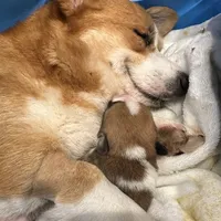 processed/7ddff457-020f-455f-8052-200cfa8c2a5d/facility/49519bcc-01c4-40e9-854f-8a8e443d4fd5