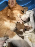 processed/7ddff457-020f-455f-8052-200cfa8c2a5d/facility/49519bcc-01c4-40e9-854f-8a8e443d4fd5