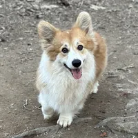 processed/7ddff457-020f-455f-8052-200cfa8c2a5d/facility/62042a21-6f01-4556-a3e4-8cec0ffe0782