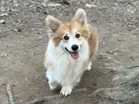 processed/7ddff457-020f-455f-8052-200cfa8c2a5d/facility/62042a21-6f01-4556-a3e4-8cec0ffe0782