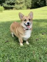 processed/7ddff457-020f-455f-8052-200cfa8c2a5d/facility/95aafce0-793d-45b0-8bda-1dc568881de2