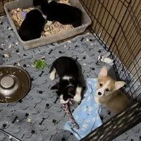 processed/7ddff457-020f-455f-8052-200cfa8c2a5d/facility/a4134f0c-0ead-4faf-8e05-ee197d72058a