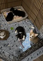 processed/7ddff457-020f-455f-8052-200cfa8c2a5d/facility/a4134f0c-0ead-4faf-8e05-ee197d72058a