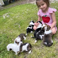 processed/7ddff457-020f-455f-8052-200cfa8c2a5d/facility/d9fbfd7a-cfbd-496b-a592-23005e3f6c63