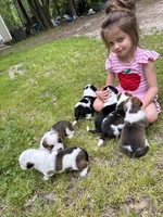 processed/7ddff457-020f-455f-8052-200cfa8c2a5d/facility/d9fbfd7a-cfbd-496b-a592-23005e3f6c63