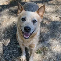 processed/7ddff457-020f-455f-8052-200cfa8c2a5d/facility/e511a67f-2655-49e5-8331-92e7943284fc